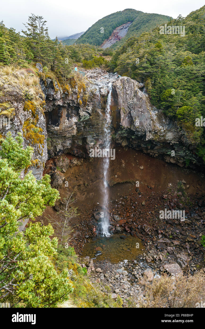 L'acqua cade nella foresta, mangawhero cade, tongariro, Nuova Zelanda Foto Stock