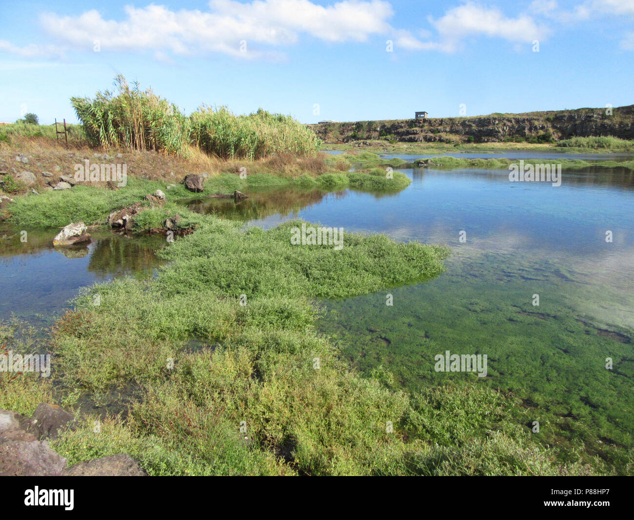 Cabo de Praia quarry, Terceira, Azzorre Foto Stock