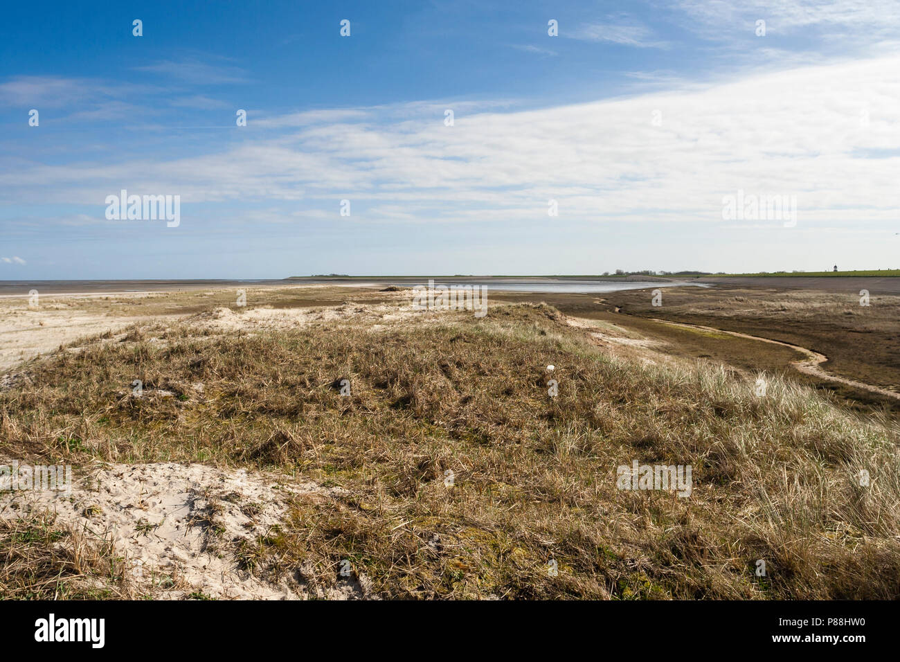 Costa di Texel in primavera Foto Stock