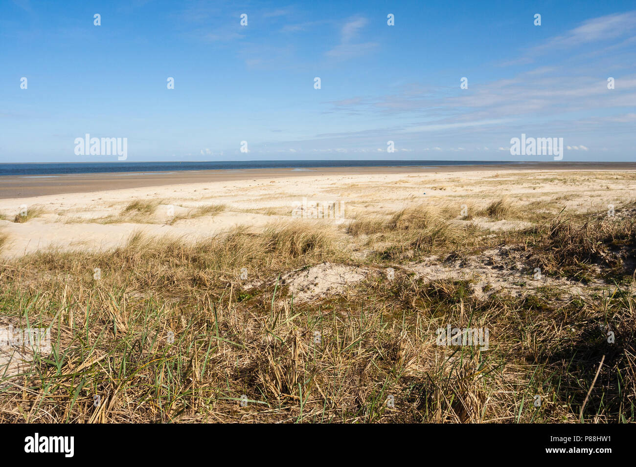 Costa di Texel in primavera Foto Stock