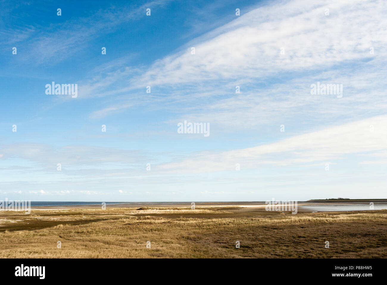 Costa di Texel in primavera Foto Stock