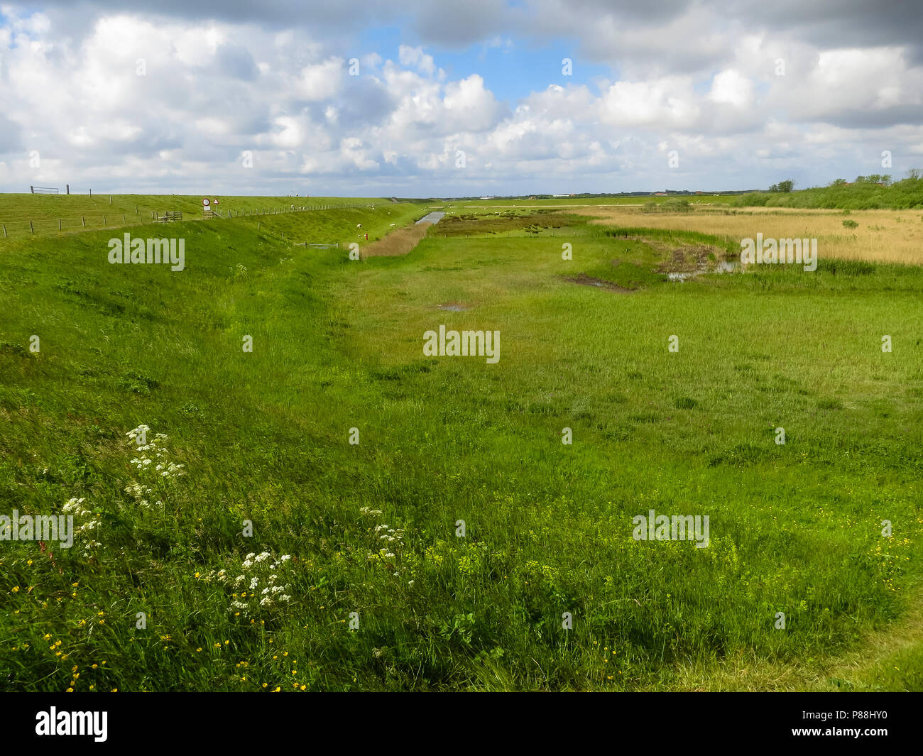 Paesaggio di Texel in primavera Foto Stock