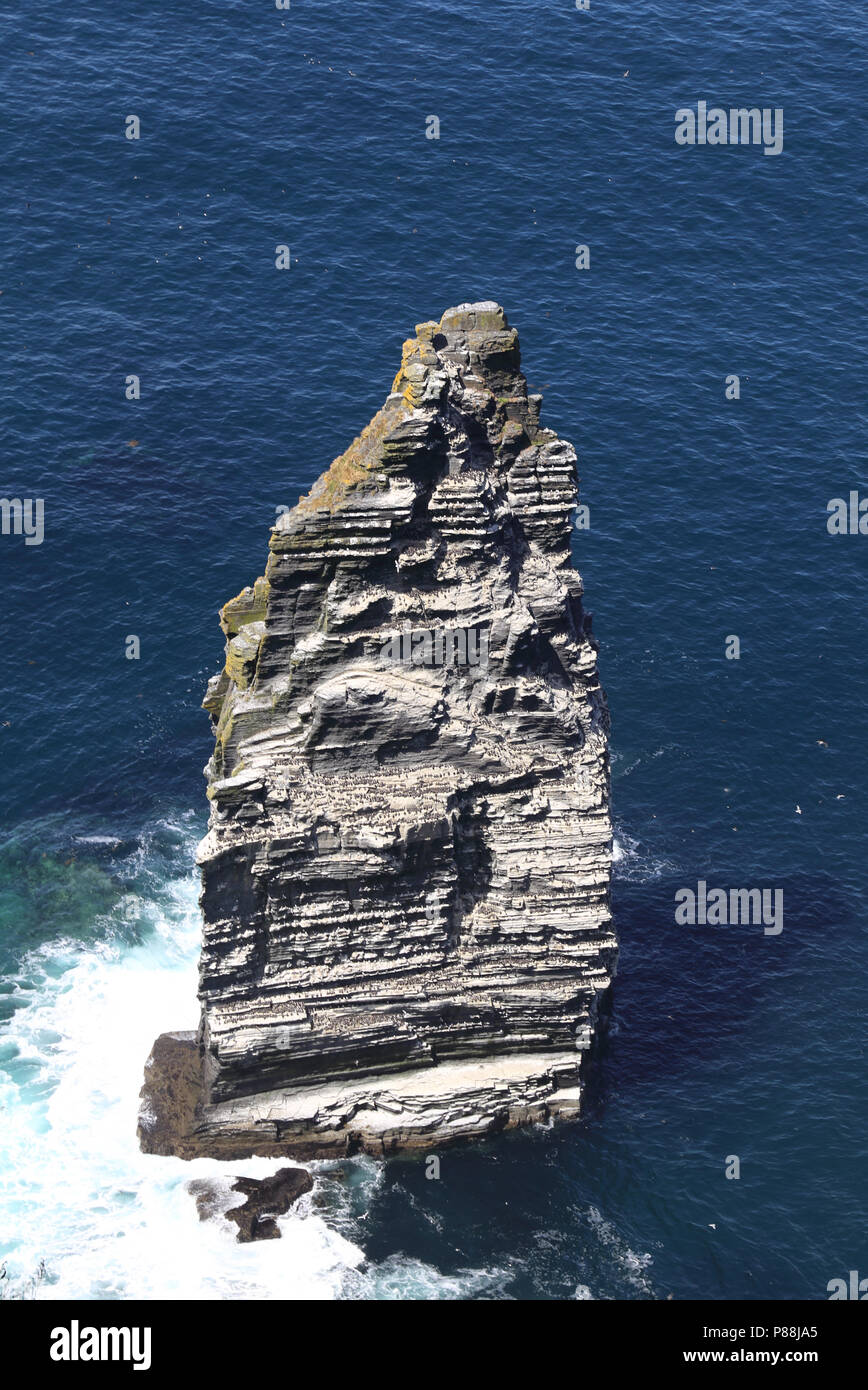 Le Scogliere di Moher sono lievitati scogliere sul mare situato presso il bordo sudoccidentale del Burren regione nella contea di Clare, Irlanda. Foto Stock