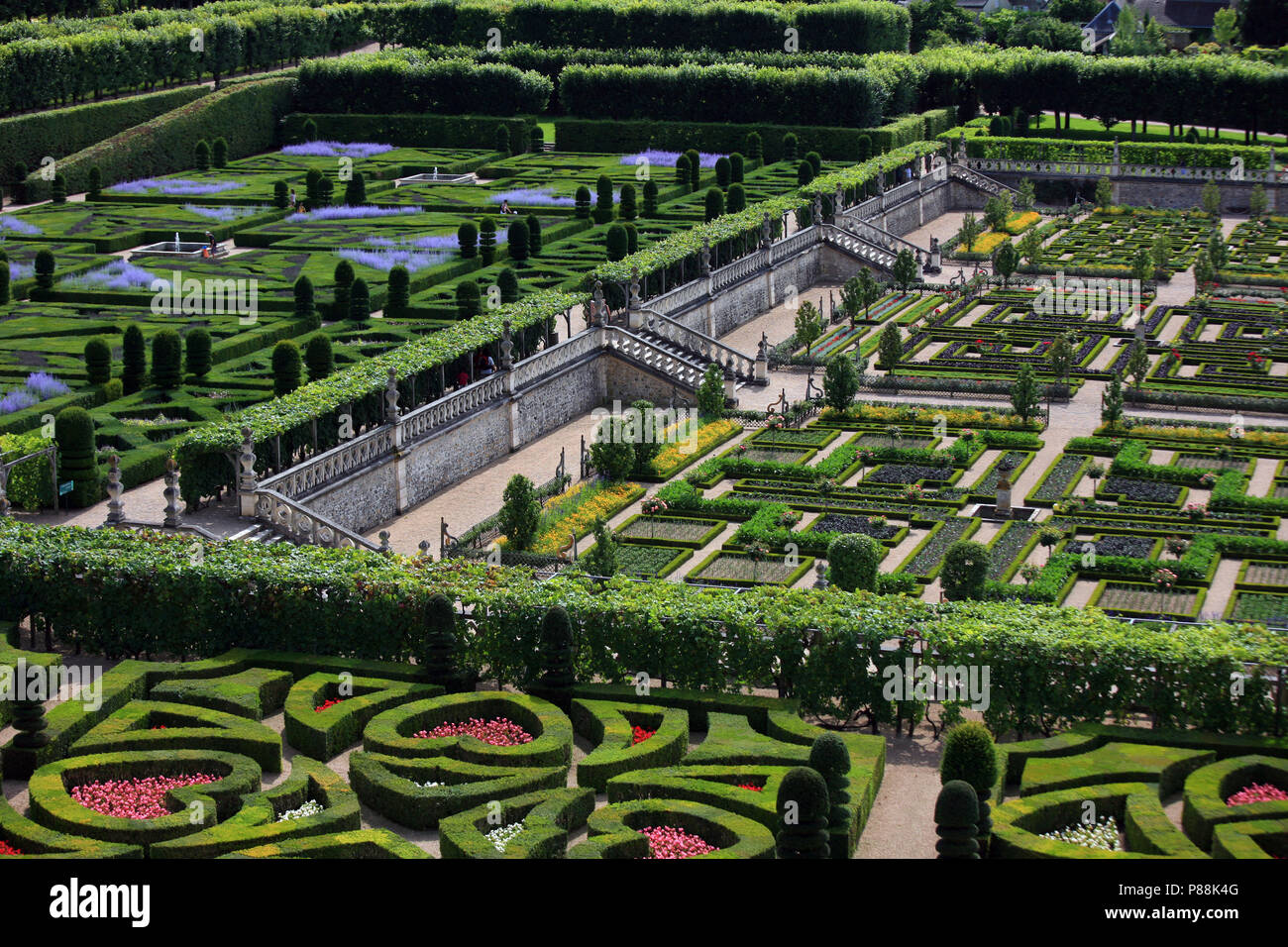 Giardini di Villandry, Villandry, Valle della Loira, Francia Foto Stock