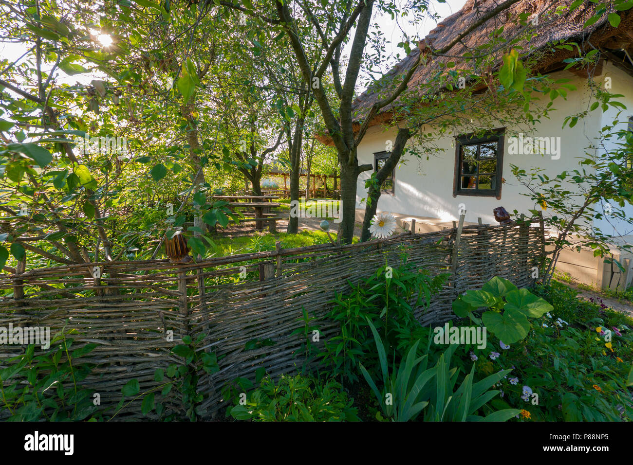 Una recinzione di vimini nel giardino vicino alla casa. Tradizionale cortile per il villaggio di vecchi giorni. . Per il vostro design Foto Stock