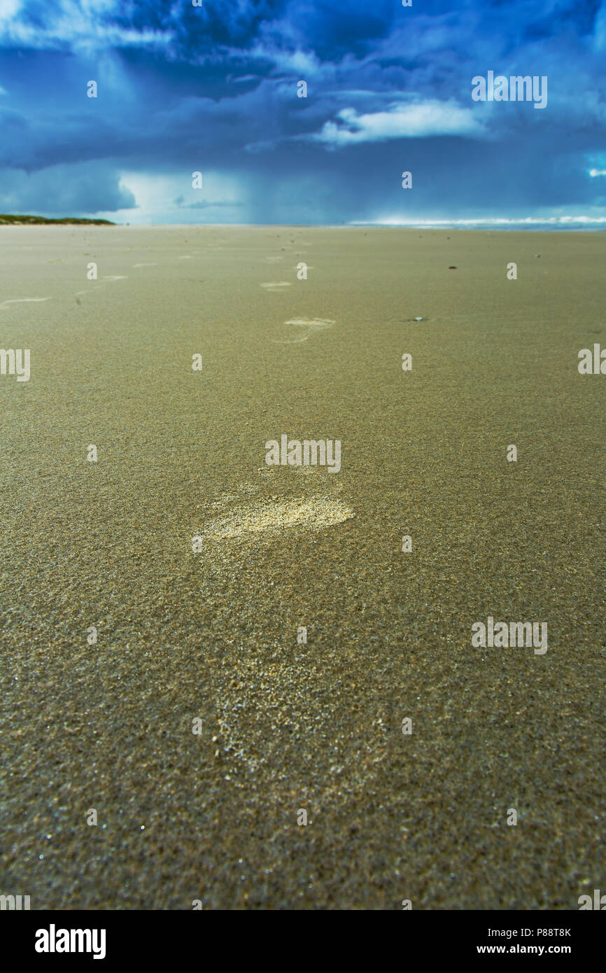 Voetafrduk op het strand; impronta sulla spiaggia Foto Stock