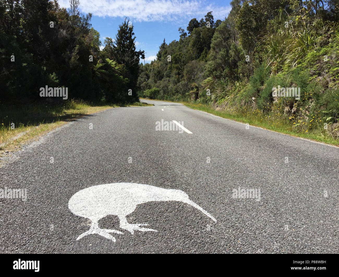 Sulla strada verso Okarito (Isola del Sud, Nuova Zelanda) grandi cartelli stradali sulla strada sono state dipinte per informare il conducente di eventuali Okarito Kiwi's Foto Stock