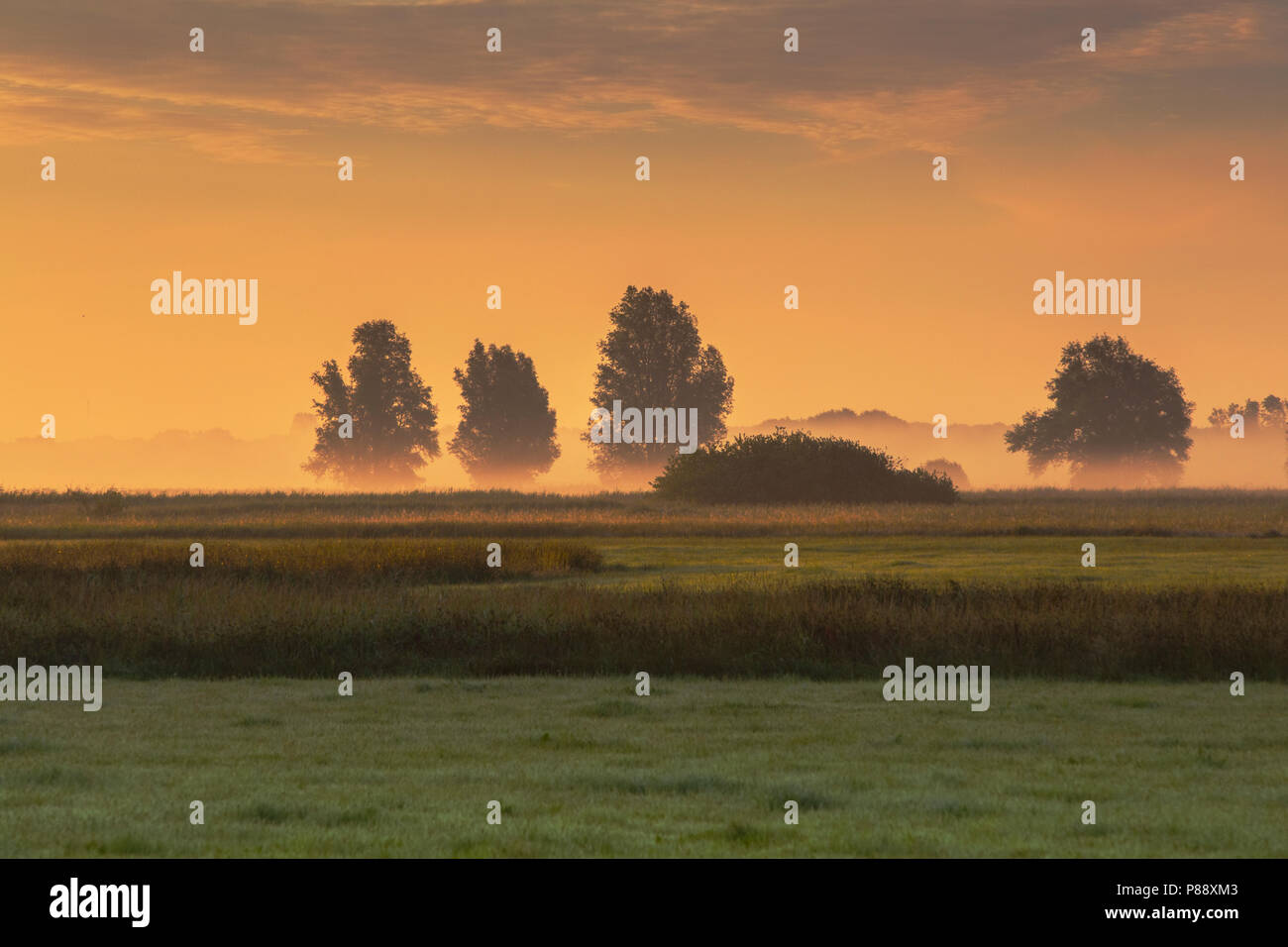 Zonsopkomst op de Hekkemieden, Sunrise a Hekkemieden Foto Stock