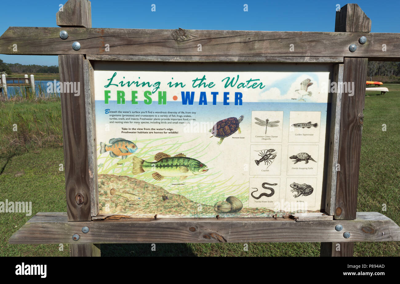 Scheda Informazioni in Colt Creek State Park. Florida, Stati Uniti d'America Foto Stock