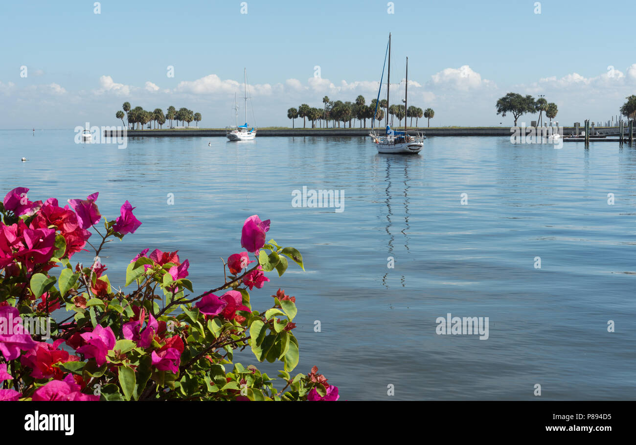 San Pietroburgo (Florida), a nord del bacino di Yacht Foto Stock