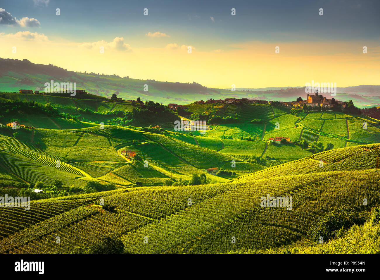 Vigneti delle Langhe panorama al tramonto, Castiglione Falletto, sito Unesco, Piemonte, Italia del nord Europa. Foto Stock