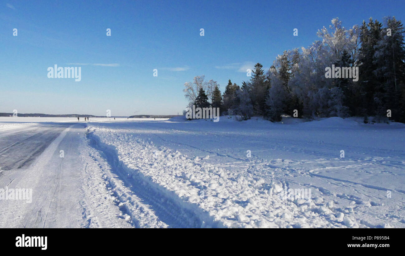 Alberi congelati Winter Wonderland Foto Stock