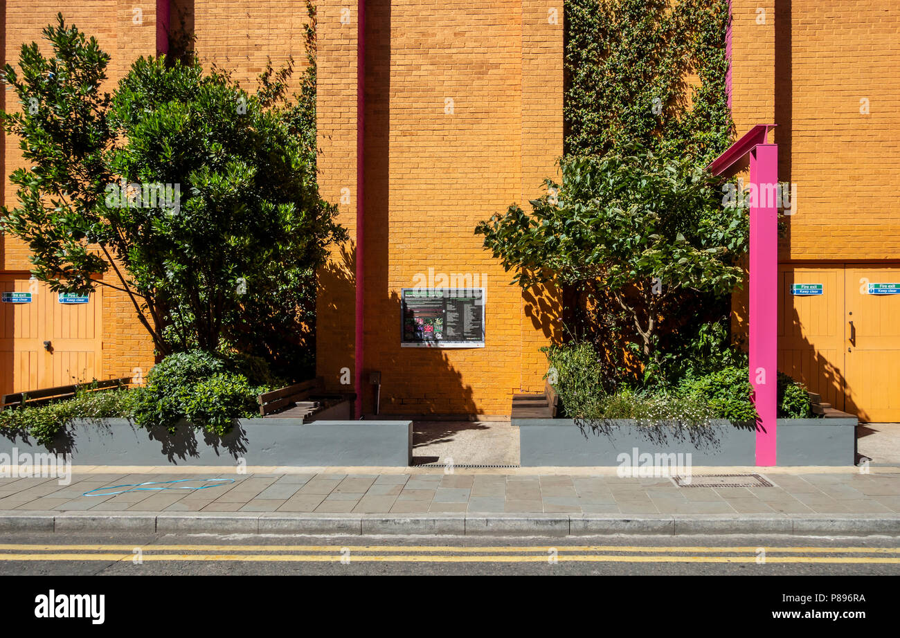 La tasca Park, impollinatrice-friendly giardino, progettato da Zandra Rhodes e Joe Swift presso il Teatro di Greenwood, Southwark, Londra, Inghilterra, Regno Unito Foto Stock