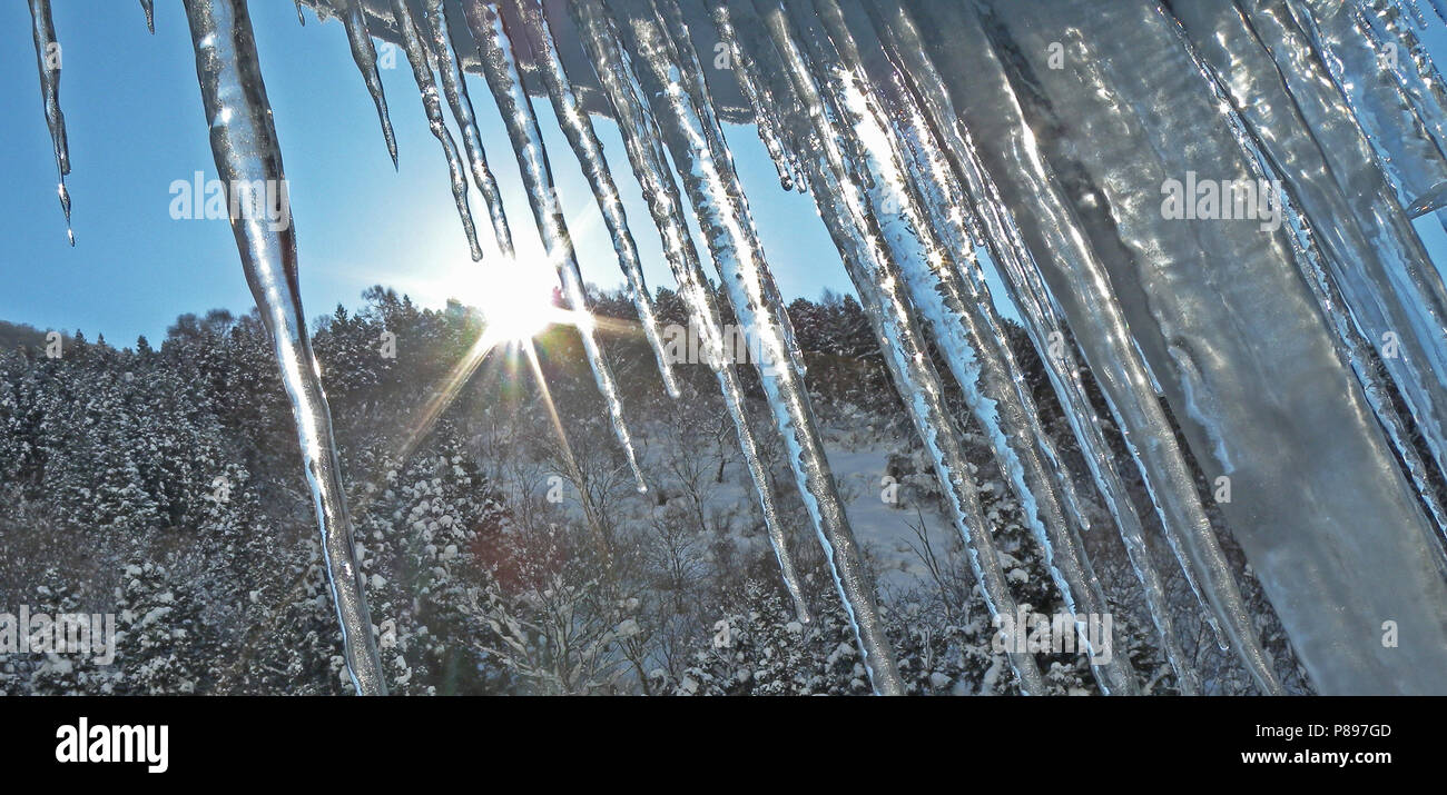 Gli inverni landschap Giappone, paesaggio in inverno in Giappone Foto Stock