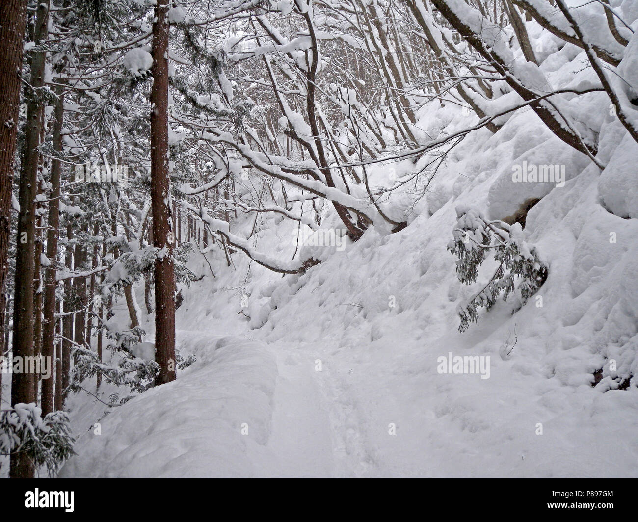 Gli inverni landschap Giappone, paesaggio in inverno in Giappone Foto Stock