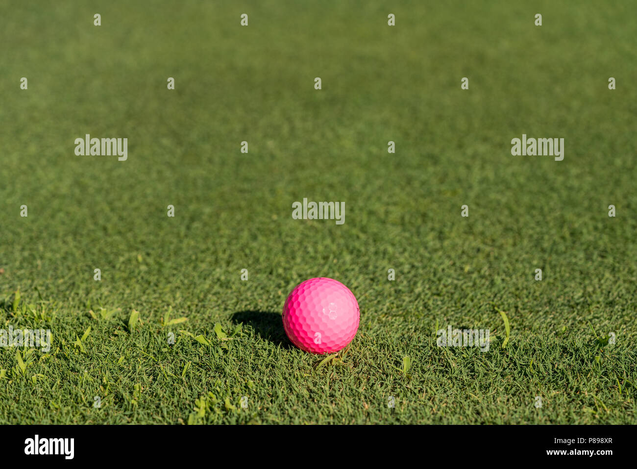Rosa pallina da golf sul bordo del putting green Foto Stock