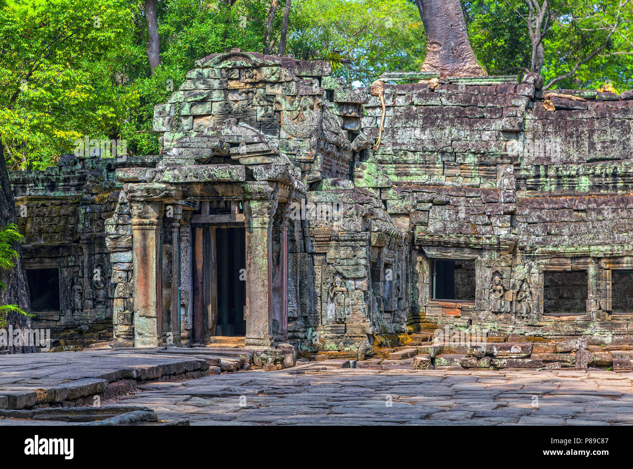 Le rovine di Ta Prohm tempio in Cambogia. Foto Stock