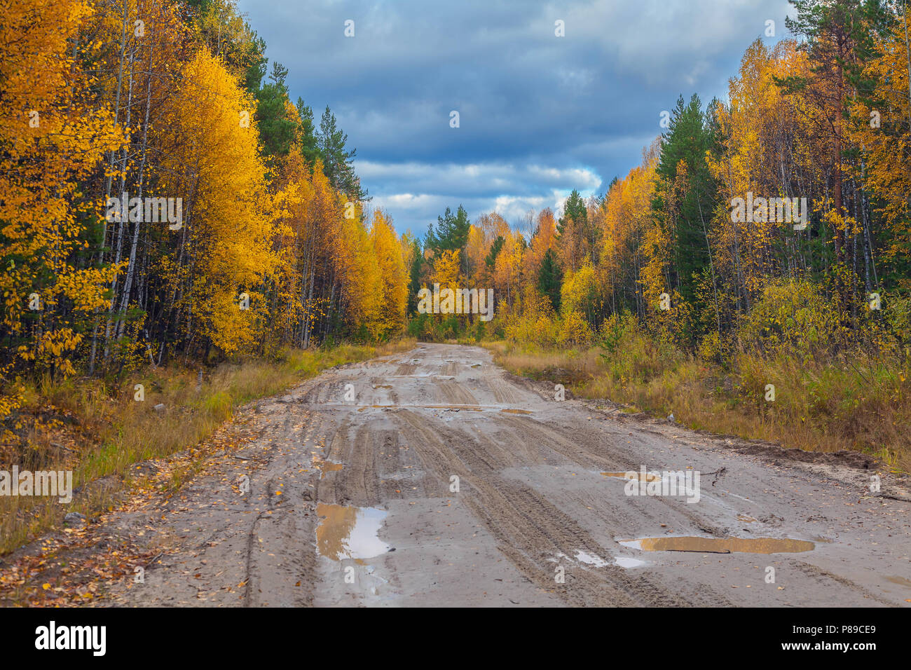 La natura in autunno della Siberia Foto Stock