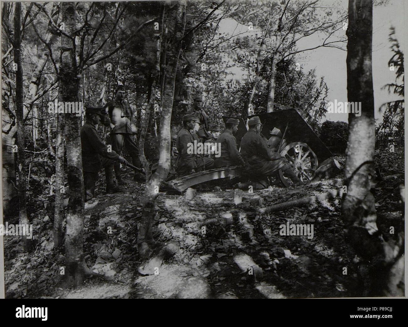 7.5Cm Gebirgskanone in Feuerstellung im Graben d.J.R.93 Tlocznya 921 Sett16 (BildID 15453011). Foto Stock