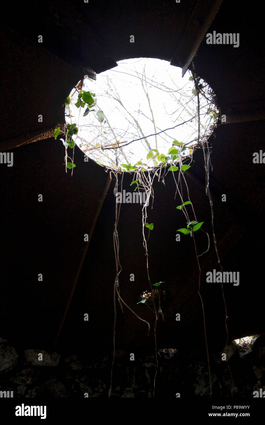 Angolo verticale basso di un buco in un edificio con foglie di albero appesi all'interno e il cielo sopra Foto Stock