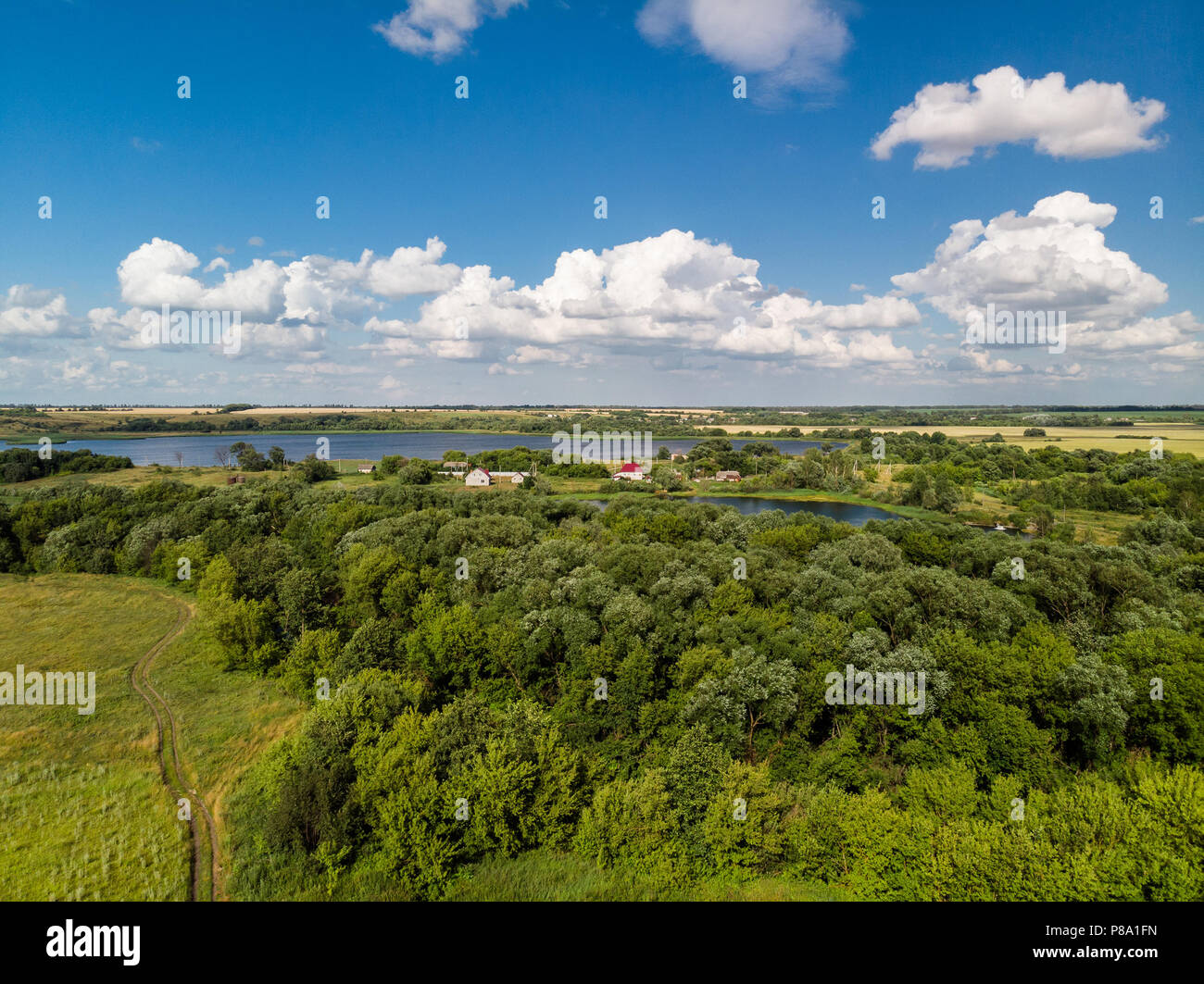 Natura della Russia centrale nelle zone rurali Foto Stock