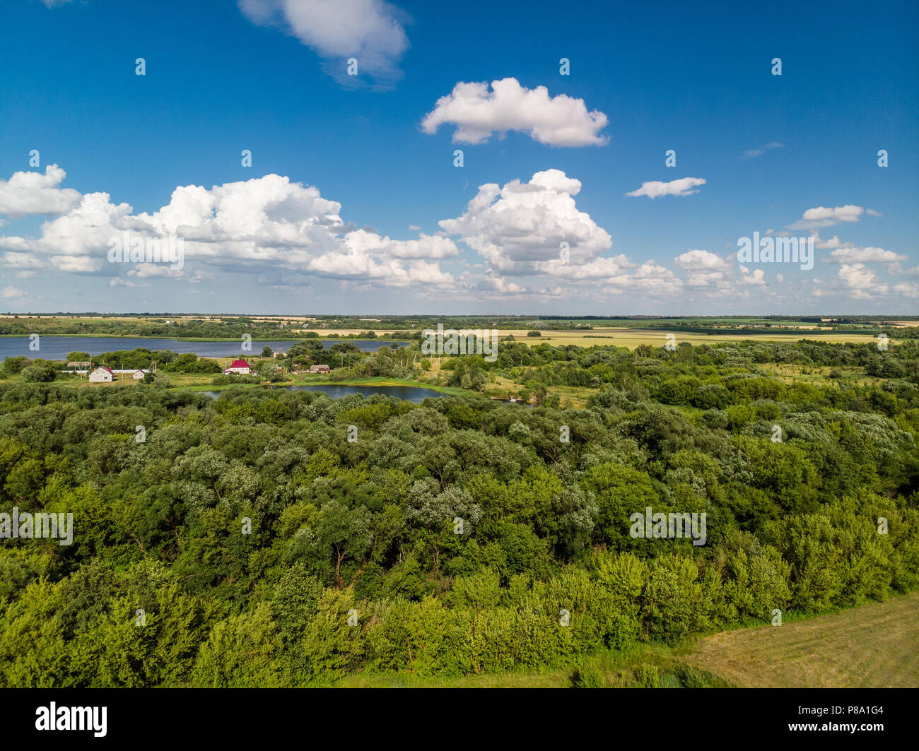 Natura della Russia centrale nelle zone rurali Foto Stock