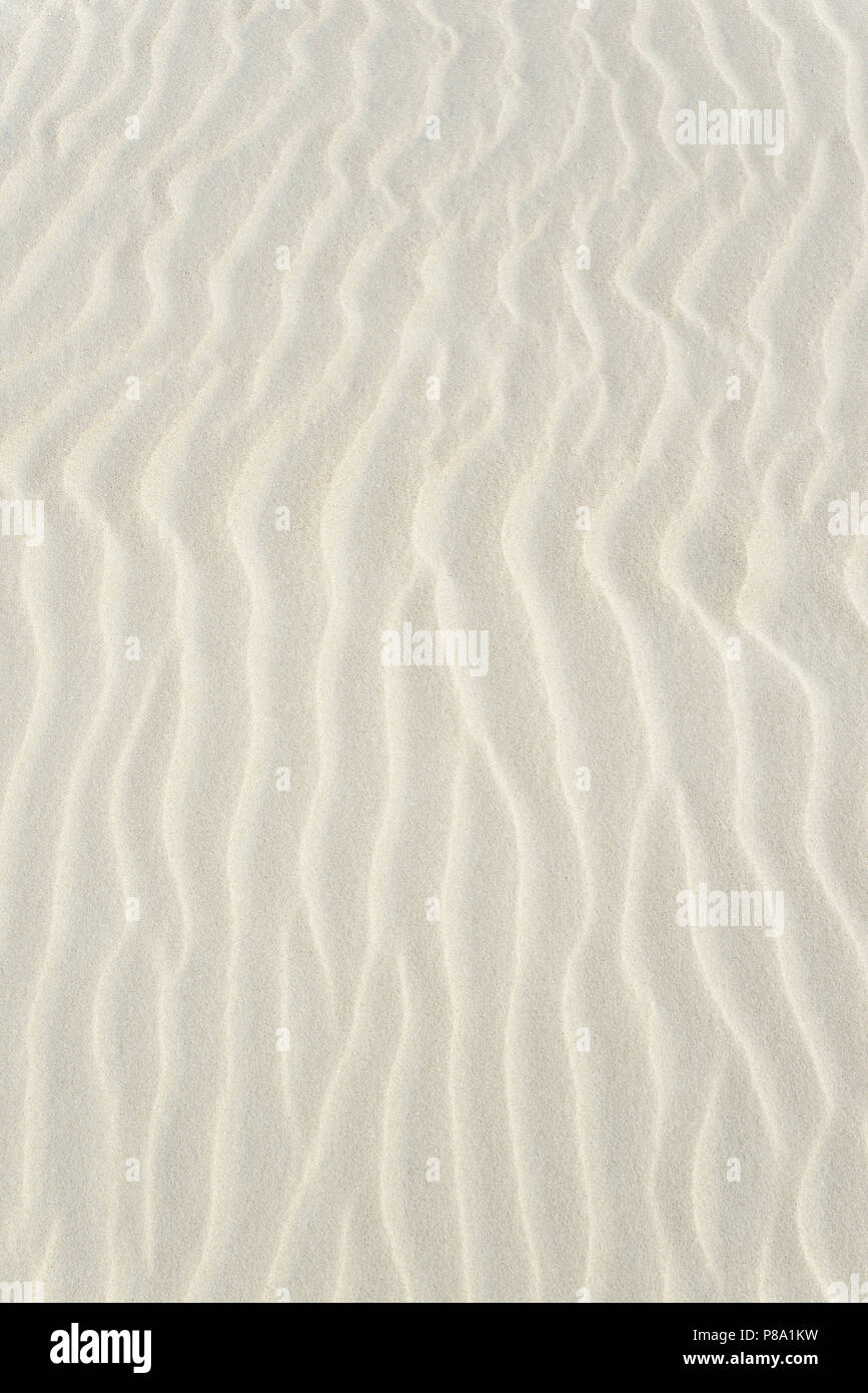 Ripples, struttura ondulata in sabbia bianca, Norderney, Est Isole Frisone, Bassa Sassonia, Germania Foto Stock