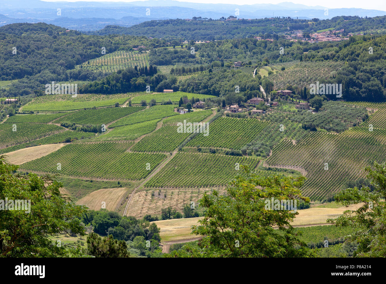 A Montepulciano, una vista sul paesaggio toscano e vigneti dal tour della città (provincia di Siena - Italia). A Montepulciano, échappée visuelle. Foto Stock