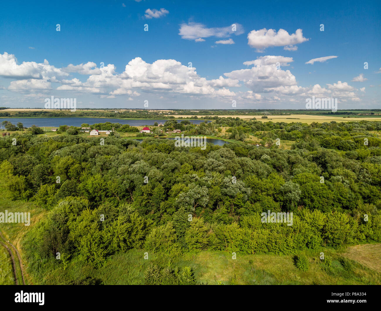Natura della Russia centrale nelle zone rurali Foto Stock