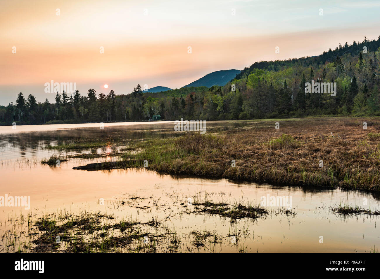 Sunrise a Connery Pond in maggio, Montagne Adirondack, Essex Co., NY Foto Stock