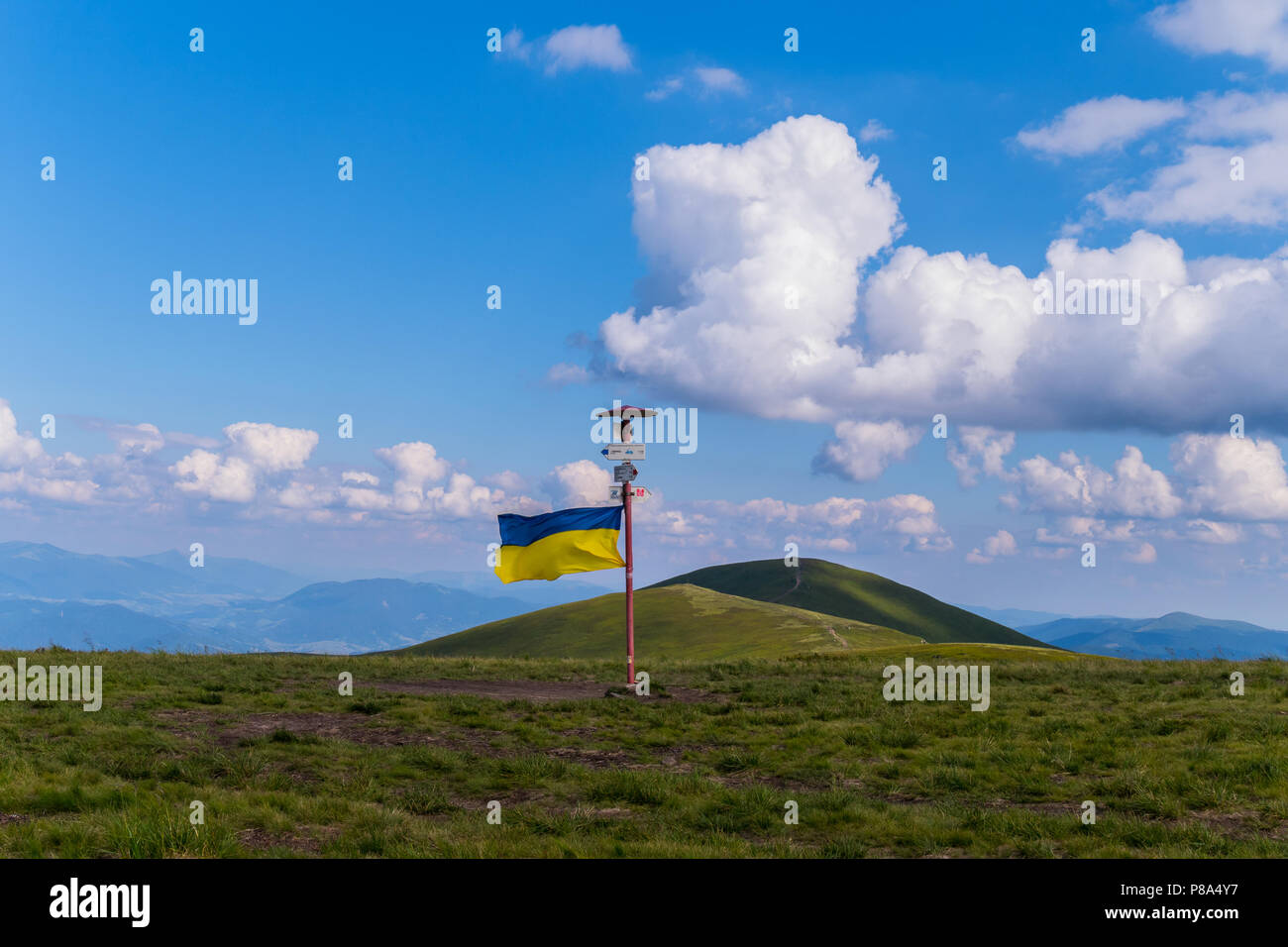 Un puntatore con un flag ucraino insieme al picco di una grande montagna verde . Per il vostro design Foto Stock