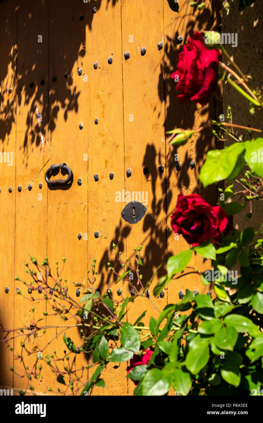 Rose rosse crescono attorno ad una porta di legno in Villalonga de Ter, Catalogna, Spagna Foto Stock