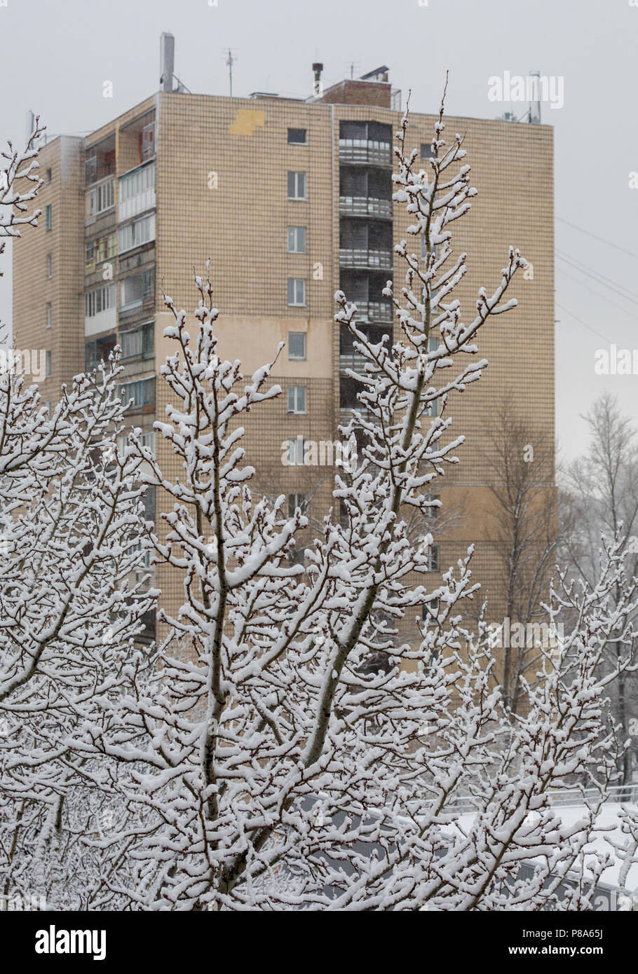Domestico alto edificio su uno sfondo coperto con uno spesso strato di neve, legno . Per il vostro design Foto Stock