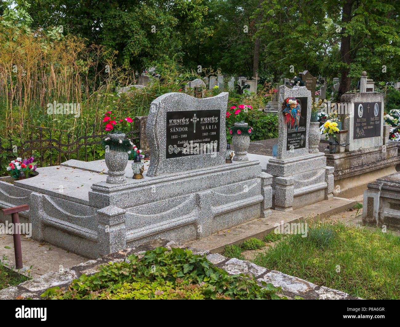 Piastre con iscrizioni sulle tombe dei morti tra i fiori di alberi e cespugli. . Per il vostro design Foto Stock