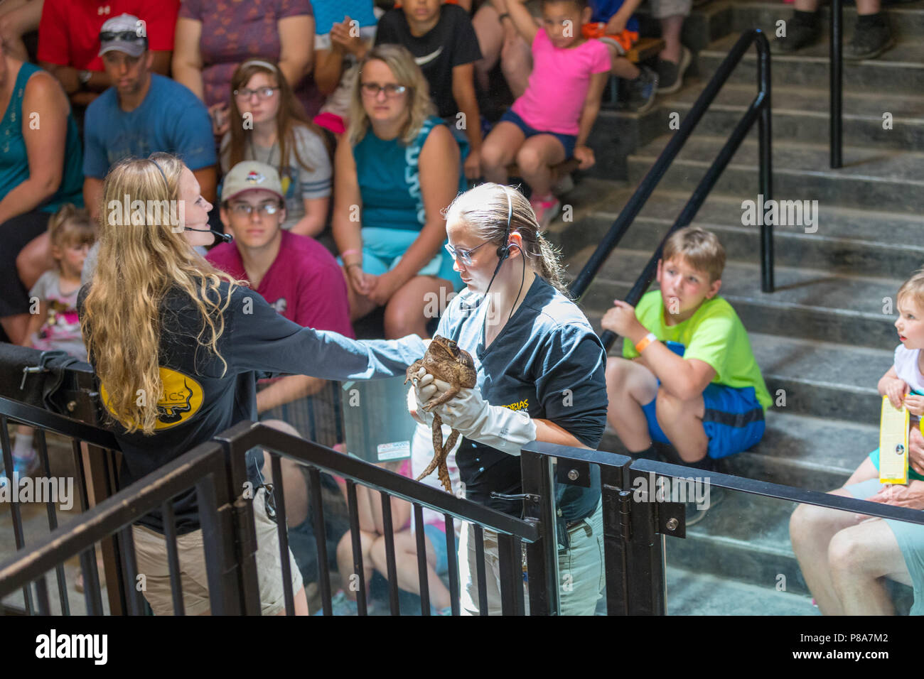 Halifax, PA Luglio 7th, 2018: Wildlife Park Attrazioni Lago Tobias Wildlife Park Foto Stock