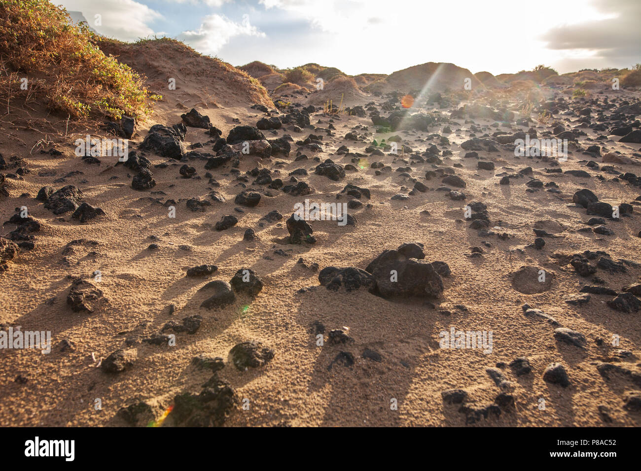 Le dune di sabbia con le montagne vulcaniche in background. Unico paesaggio di Lanzarote. Isole Canarie, Spagna. Foto Stock