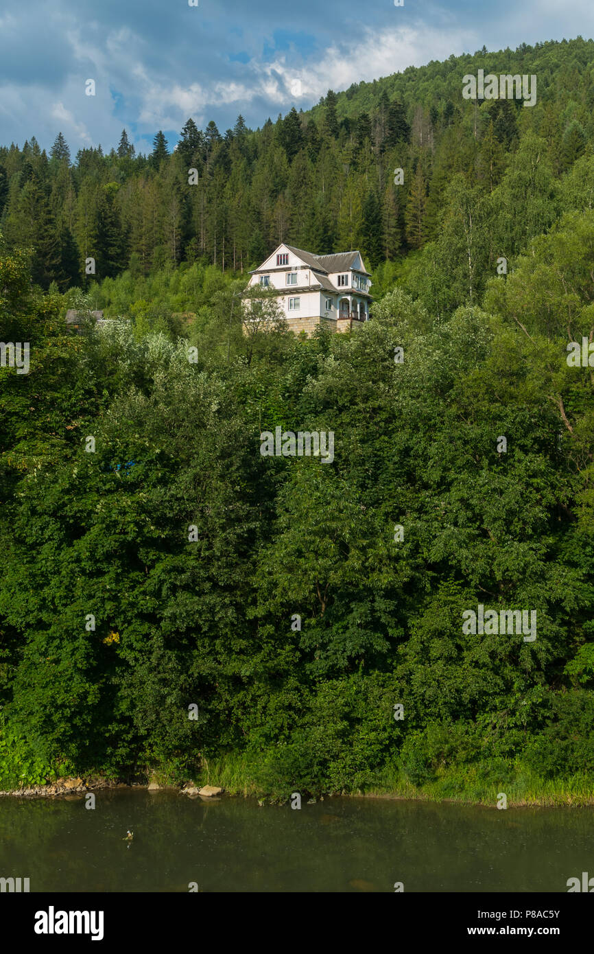 Casa a tre piani nella foresta più spesso con un fiume di montagna in primo piano . Per il vostro design Foto Stock