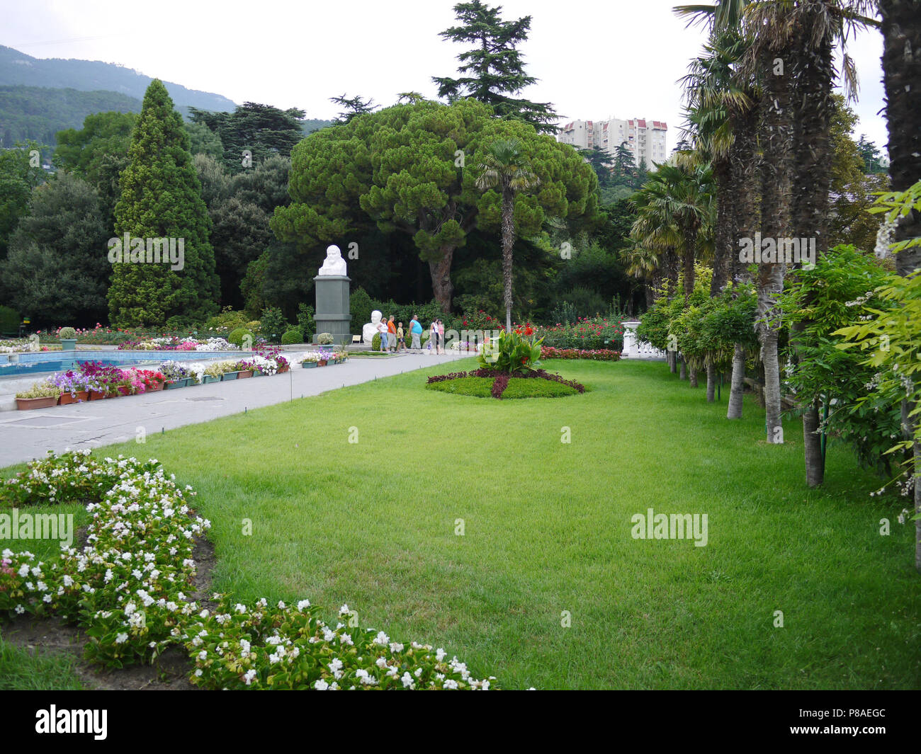 Un verde prato smussata nel parco con palme crescente su di esso contro lo sfondo della alto-aumento visto in lontananza . Per il vostro design Foto Stock