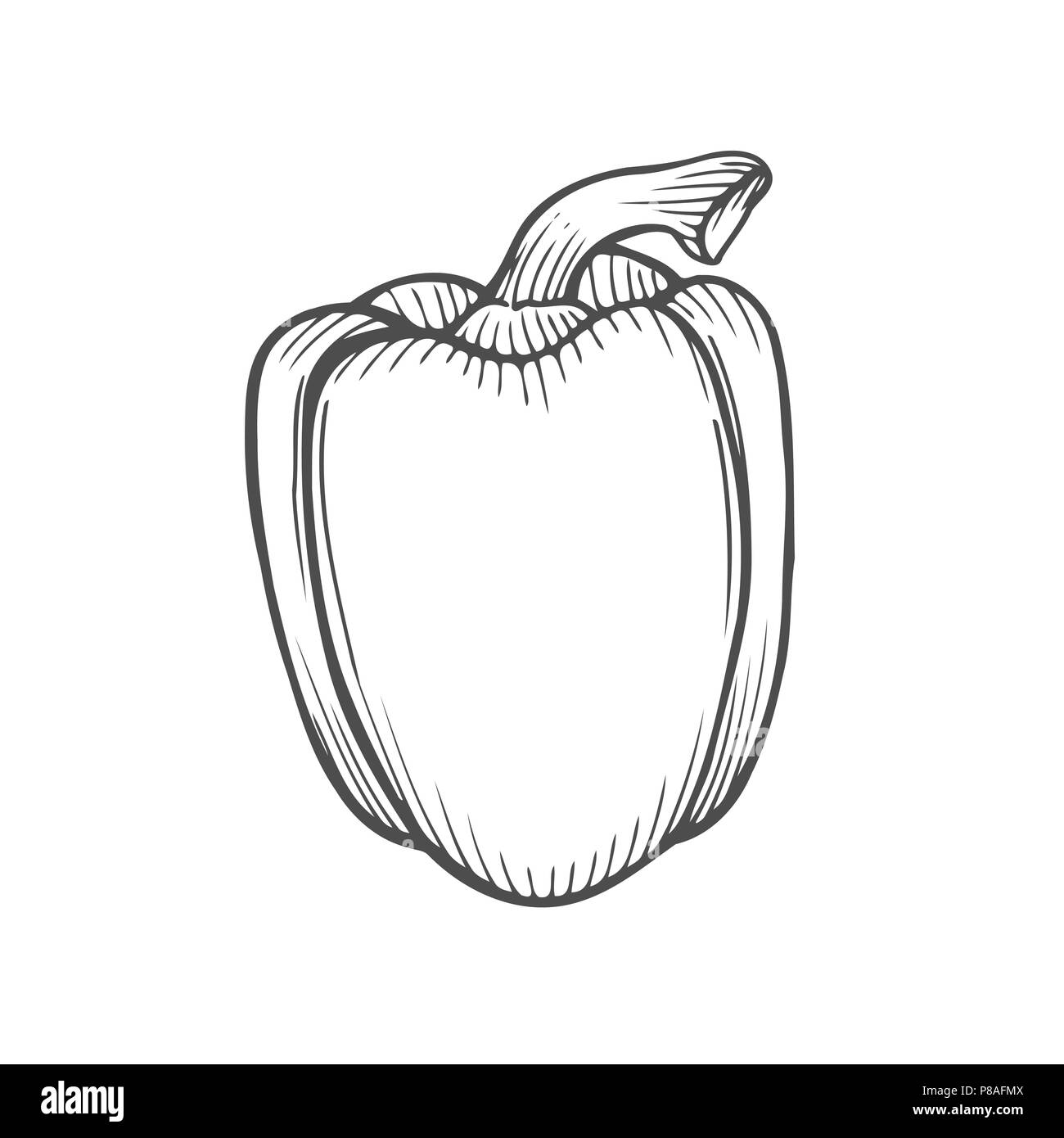 Peperoni freschi in isolato nero su bianco. Vegetali elemento di design per il mercato di fattoria, cibo vegetariano ricetta. Illustrazione Vettoriale in unità organizzativa di incisione Illustrazione Vettoriale