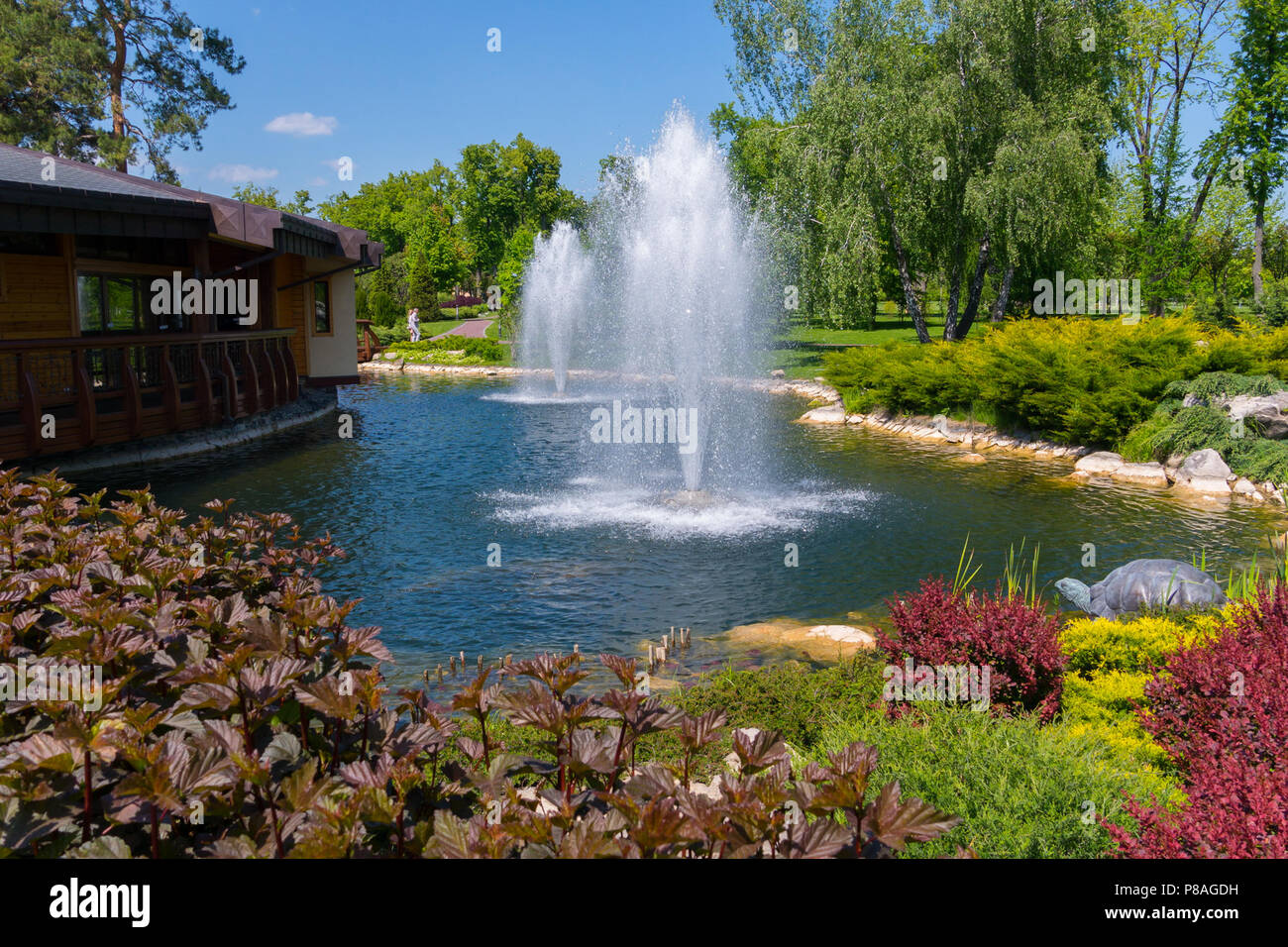 Una terrazza in legno con accesso ad un laghetto con due fontane circondate  da splendidi fiori, cespugli di verde e di alberi di alto fusto sotto un  cielo blu. luogo di riposo
