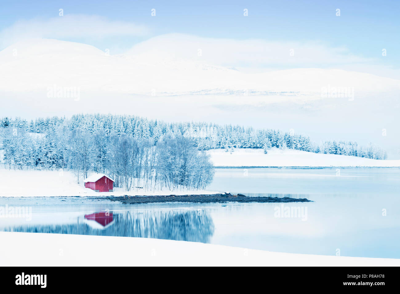 Arctic vista sulla baia con typiccal boathouse norvegese, durante la notte polare, Balsfjord, Norvegia. Foto Stock