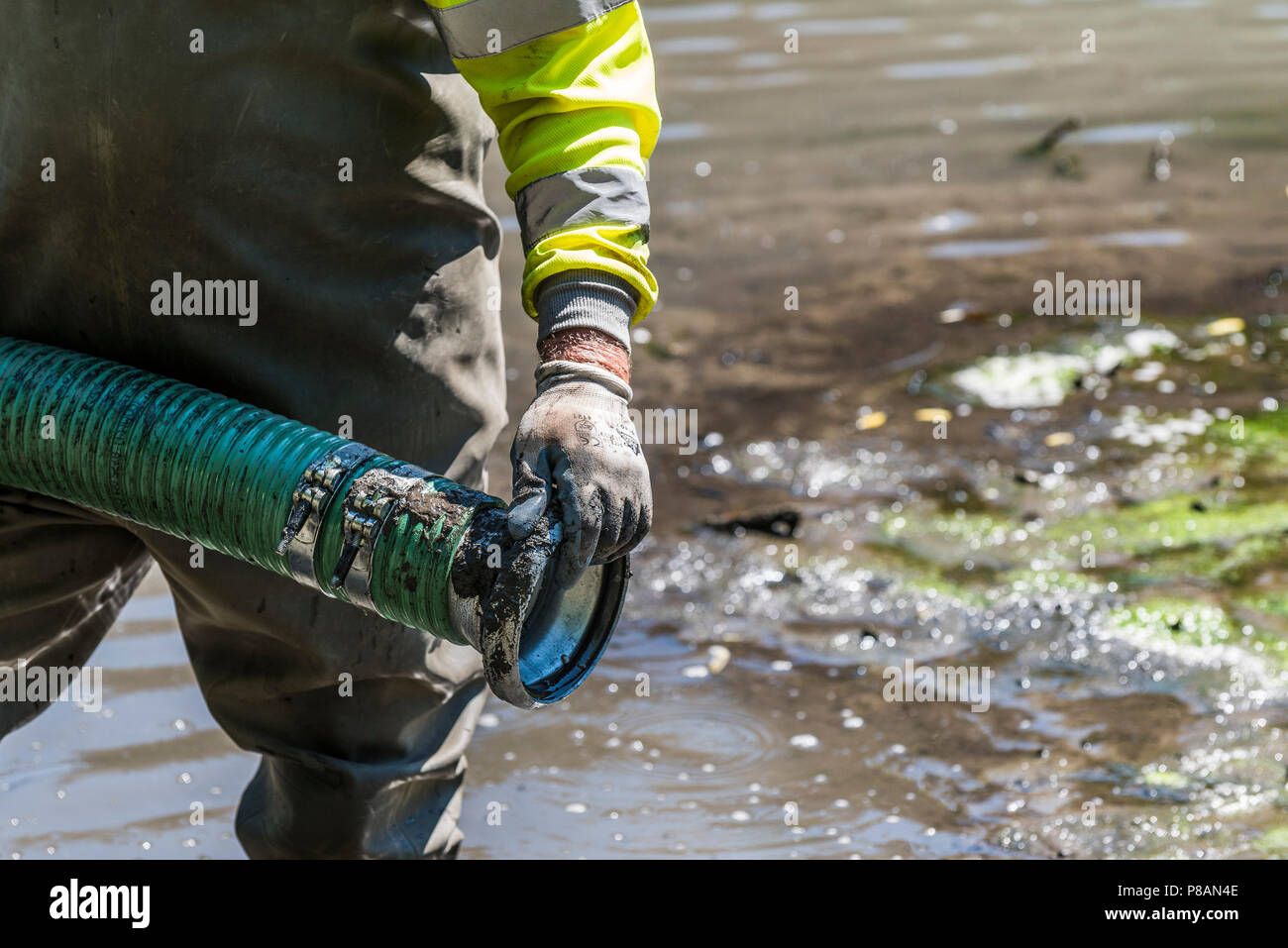 Un lavoratore utilizzando una pompa di aspirazione per rimuovere il fango e limo in un lago. Foto Stock