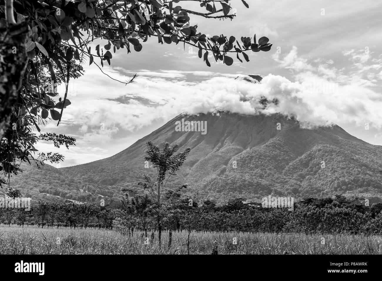 Il Vulcano Arenal è uno stratovulcano in Costa Rica con un molto tipica forma conica. È stato inattivo per diverse centinaia di anni, ma poi active 1968-2010. Foto Stock