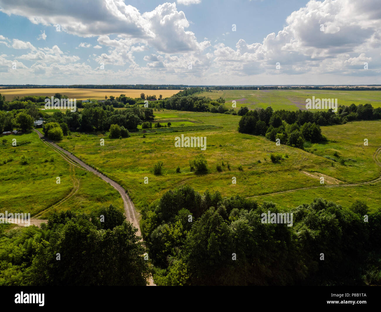 Campagna in estate in Russia Foto Stock