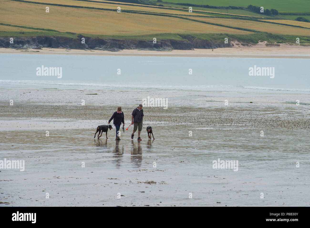 Dog walkers su una spiaggia Foto Stock