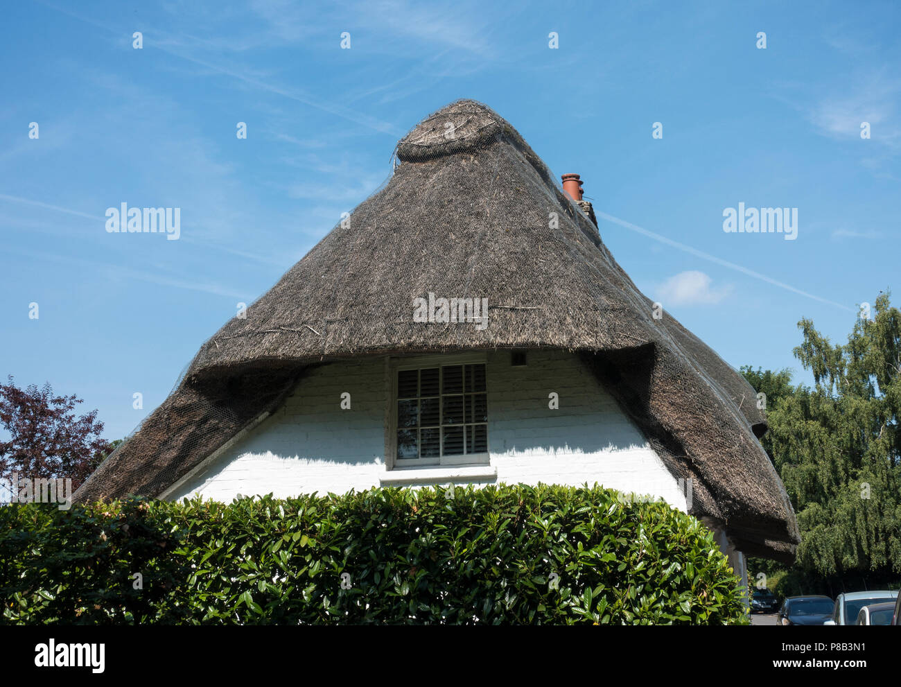 Cottage con il tetto di paglia Foto Stock
