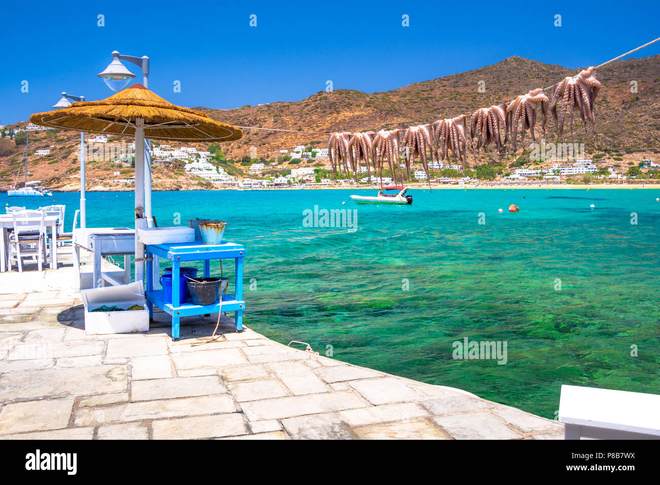 Greco tradizionale cibo di mare, polpo, essiccazione al sole, Milopotas, dell'isola di Ios, Cicladi Grecia Foto Stock