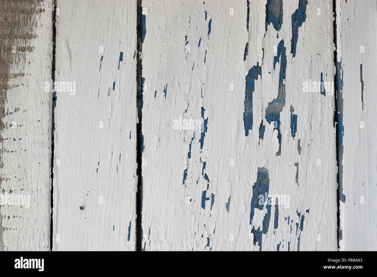 Legno stagionato texture con vernice scheggiato. Abstract bianche e blu. Foto Stock