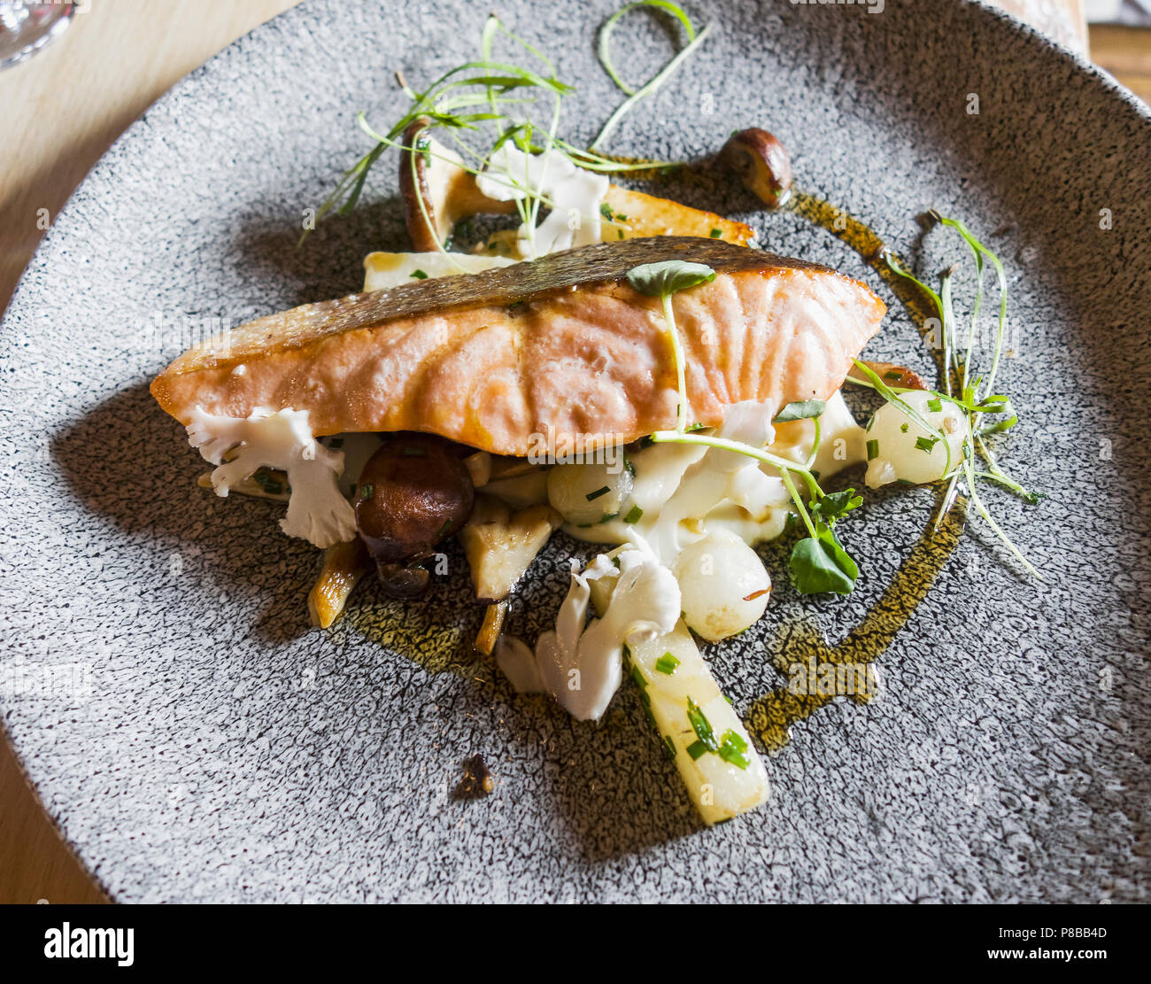 Panoramica di salmone fritto con purea di cavolfiore, arrosto cavolo rapa, funghi selvatici, cipolline e vino rosso jus ad Alnwick Treehouse ristorante, Northumberland Foto Stock