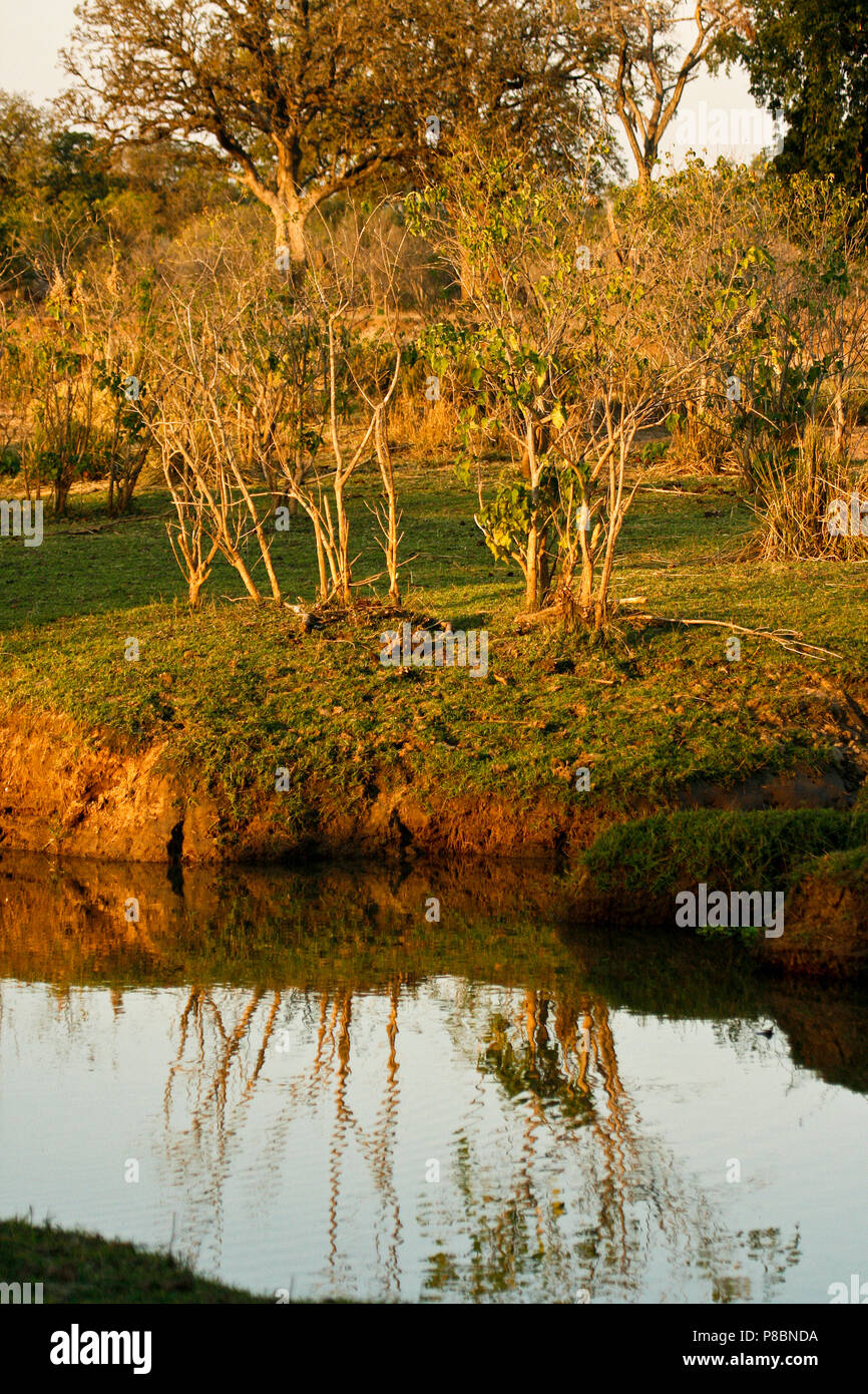 Piscina, riserva di Mana Parco Nazionale. Zimbabwe Foto Stock